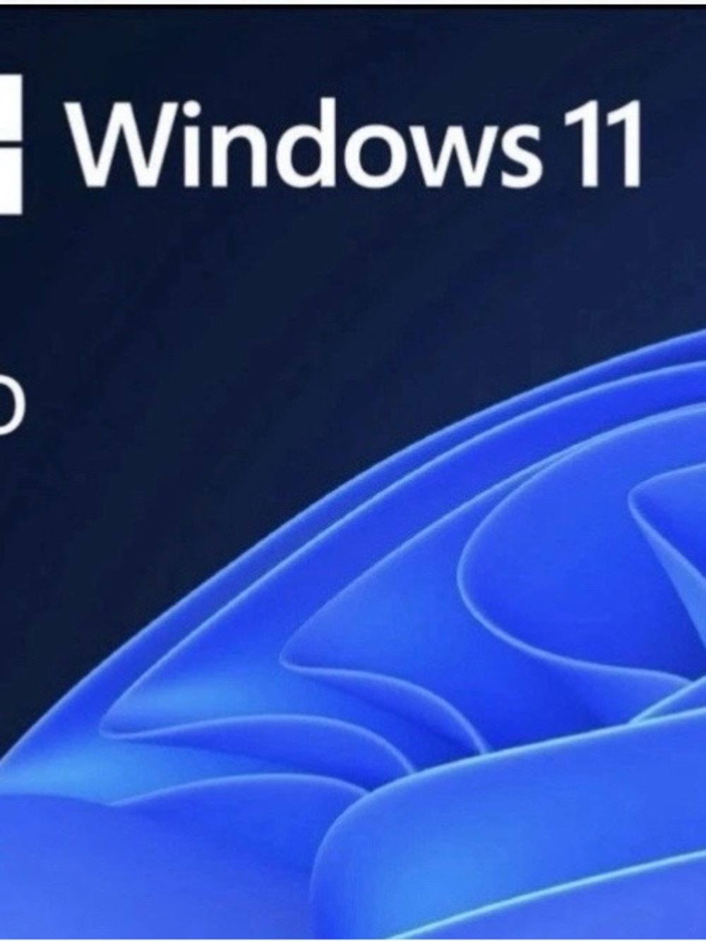 Brand NEW Microsoft Windows 11 Pro USB Retail Version (NOT A download)